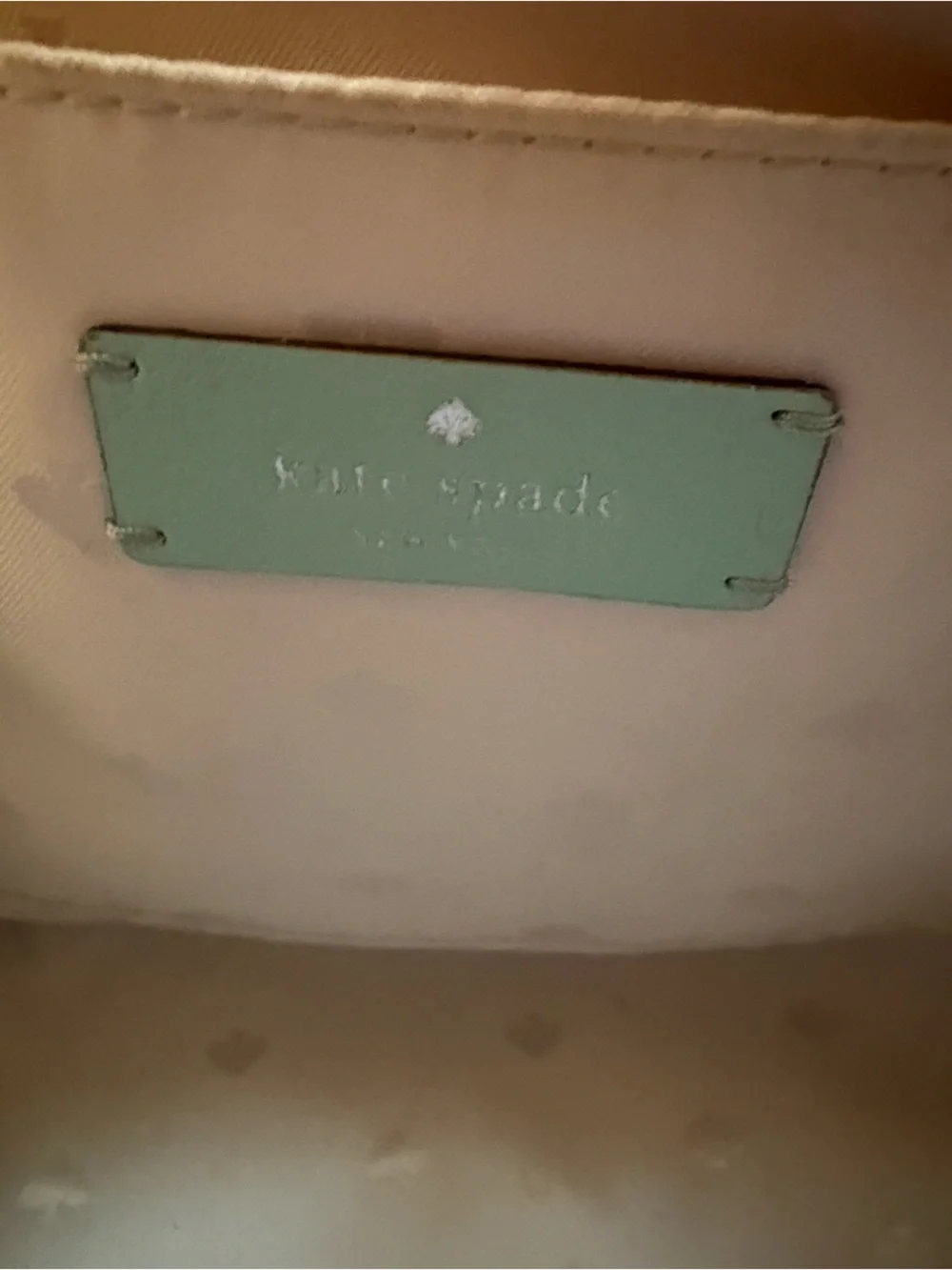 kate spade Mint Green Leather Dome Crossbody